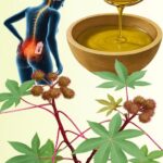 Descubre los Increíbles Beneficios del Aceite de Ricino para la Salud