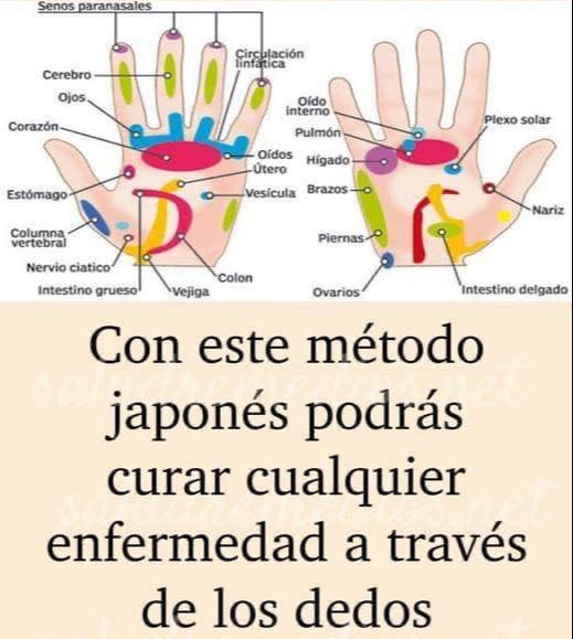 Diagrama de manos y órganos en Jin Shin Jyutsu