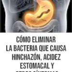 Cómo Eliminar la Bacteria Helicobacter Pylori: Alimentos Naturales y Remedios