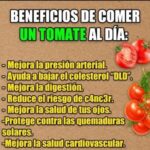 Beneficios de Comer Tomate Todos los Días para Tu Salud