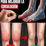 La Vitamina Esencial para Mejorar la Circulación en Piernas y Pies