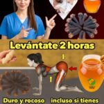 Beneficios del Jengibre, Clavos de Olor y Miel: Un Trío Poderoso para Tu Salud