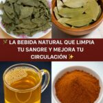 La Bebida Natural Que Limpia Tu Sangre y Mejora Tu Circulación