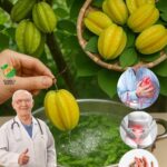 Beneficios de las Hojas de Carambola para la Salud
