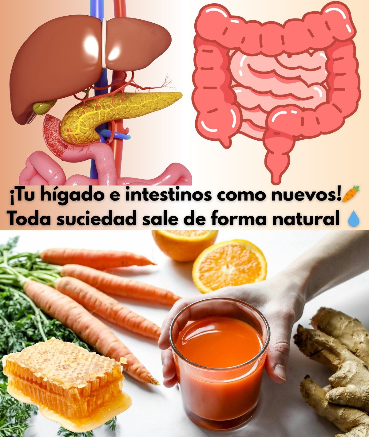 Jugo de zanahoria y jengibre