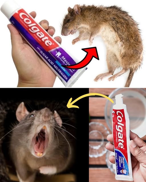 Métodos caseros con pasta de dientes