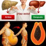 Potencia Tu Salud con Semillas de Papaya: Beneficios para el Hígado y Pérdida de Peso