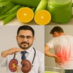 Desintoxicación Natural: Limpia Riñones, Hígado y Pulmones de Forma Saludable