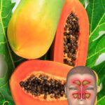 Semillas de Papaya: Remedios Naturales y Beneficios para la Salud