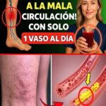 La Bebida Estrella para Mayores: Refuerza tu Circulación y Dile Adiós a la Mala Circulación