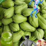 Chayote: El Superalimento para Articulaciones, Circulación y Salud