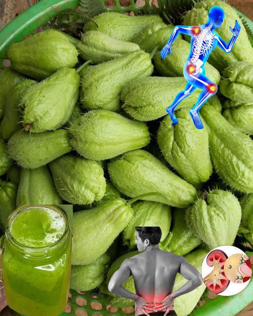 Canasta de chayote y elementos de salud