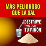 El Veneno Blanco que Destruye tus Riñones: Glutamato Monosódico