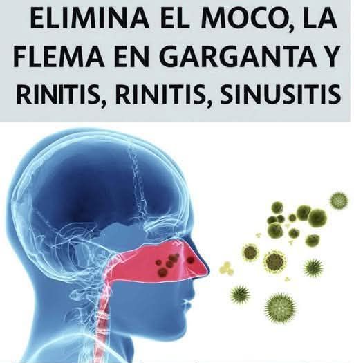 Imagen de vías respiratorias