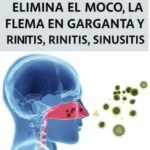El Poder del Té de Jengibre: Un Remedio Casero para Aliviar Moco, Flema y Rinitis