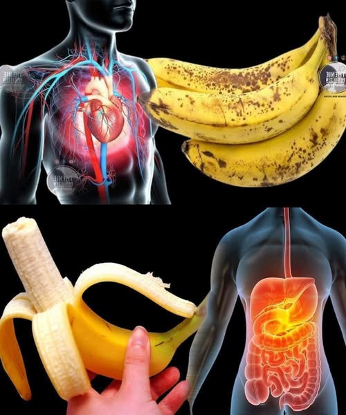 Beneficios de los plátanos para la salud