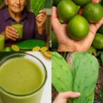 Adiós al Azúcar Alta en la Sangre con un Remedio Natural de Nopal y Limón