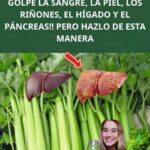 Apio: El Poderoso Limpia Sangre y Órganos Vitales