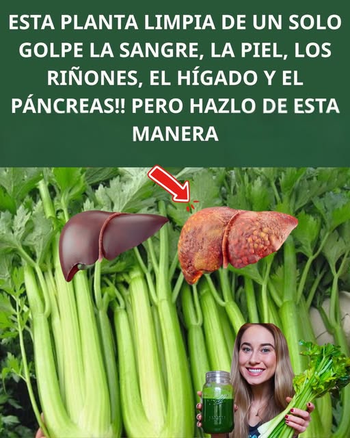 Beneficios del Apio