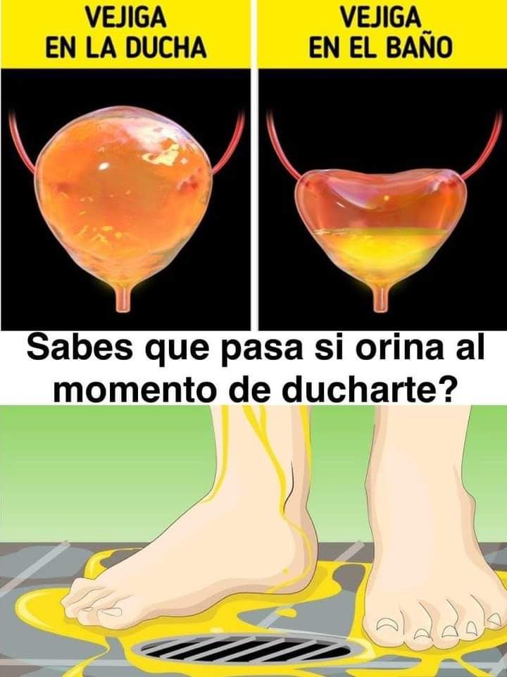 Gráfico humorístico sobre orinar en la ducha