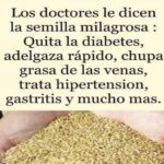 La Semilla Milagrosa: Beneficios del Alpiste para la Salud