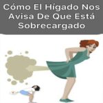 Cuidado del Hígado: Señales de SobreCarga y Cómo Protegerlo