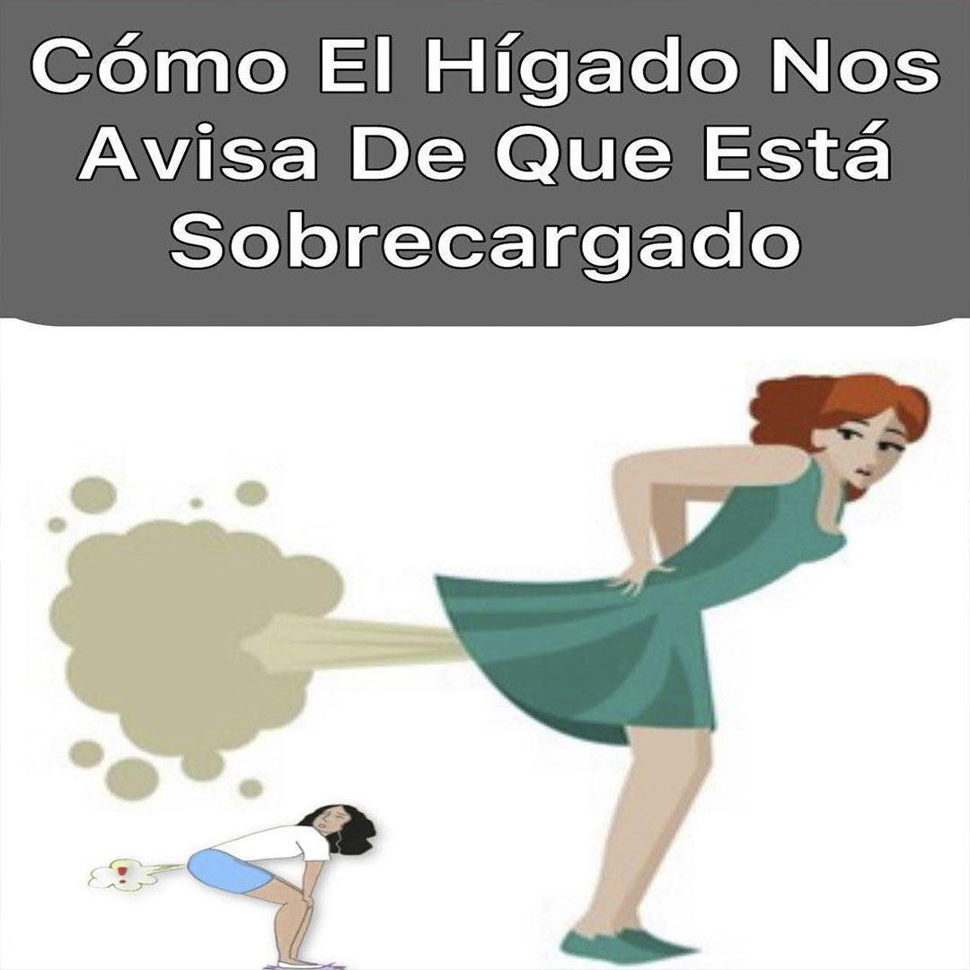 Cómo el hígado nos avisa de que está sobrecargado