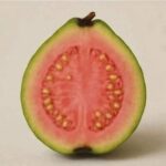 Descubre los increíbles beneficios de las hojas de guayaba para tu salud