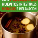 Infusión Natural para Combatir Parásitos, Huevecillos Intestinales y Más