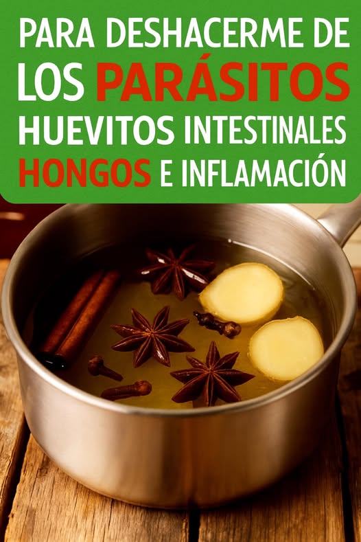 Ingredientes naturales para infusión