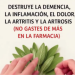 Salvia: El Poderoso Aliado Natural contra la Demencia y el Dolor