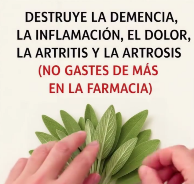Hojas de salvia