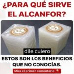 Descubre los Sorprendentes Beneficios del Alcanfor para tu Salud y Bienestar