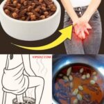 Los Beneficios de los Clavos de Olor en la Salud Integral de la Mujer