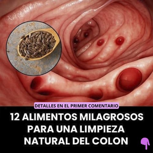 Gráfico del interior del colon y alimento para la salud