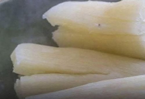 Yuca hervida