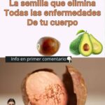 Los Beneficios Ocultos de la Semilla de Aguacate para Tu Salud