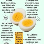 Beneficios del Huevo Hervido: Nutrición y Salud en Cada Bocado