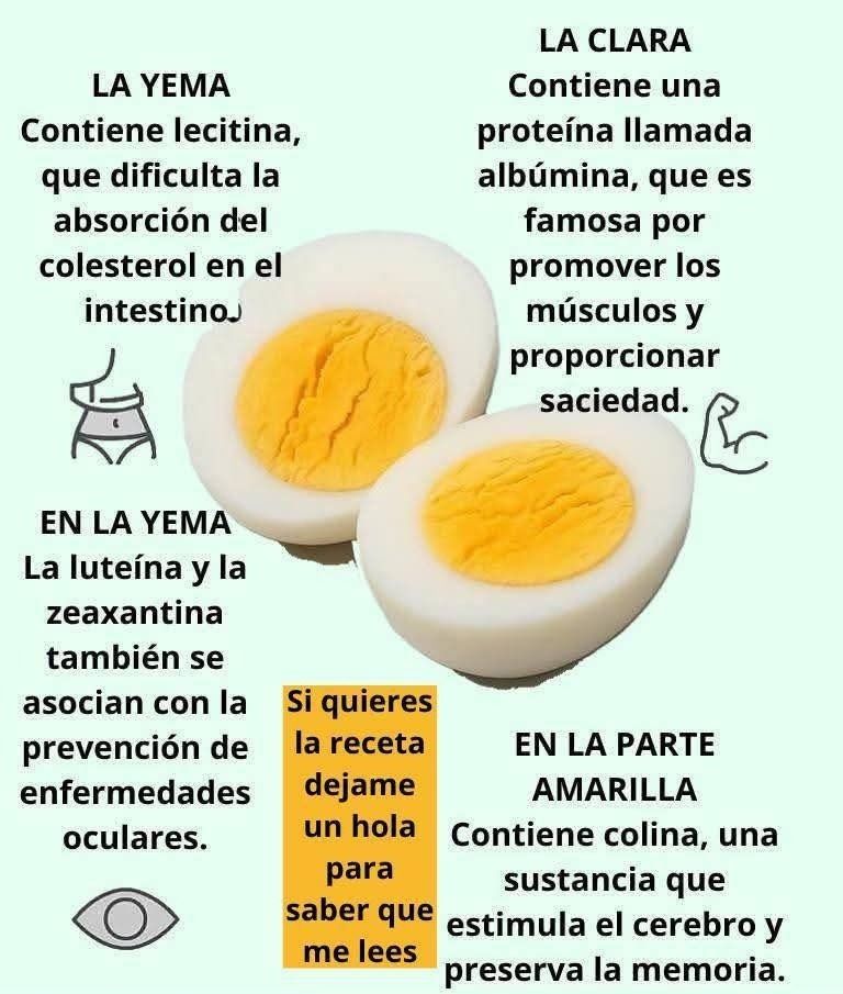 Propiedades nutricionales del huevo: clara y yema
