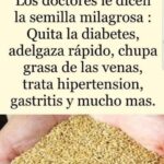 La Semilla Milagrosa: Un Potente Remedio Natural para Tu Salud