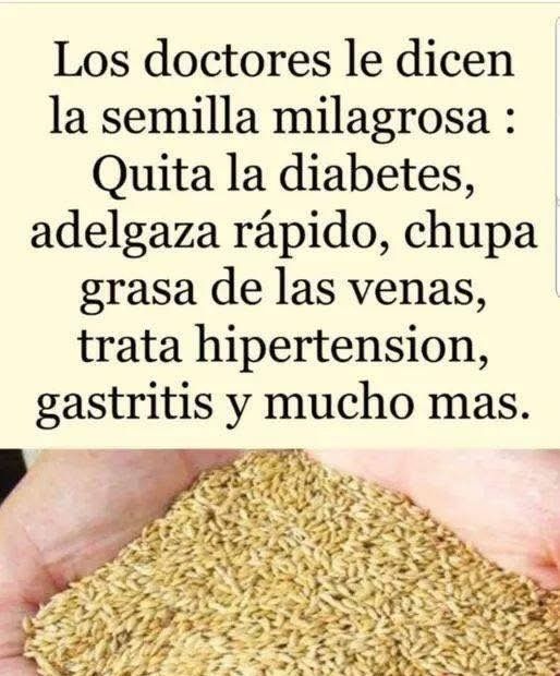 Semilla Milagrosa