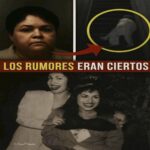 Yolanda Saldívar Hace Revelaciones Sorprendentes Sobre Selena