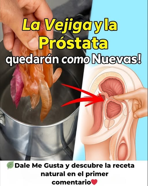 Limpieza de Vejiga y Salud Prostática