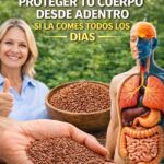 Semillas de Lino: El Poder de una Semilla para la Salud de Personas Mayores