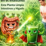El Asesino Natural de Bacterias: Espinacas para Limpiar el Hígado y los Intestinos