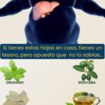 Descubre Tres Hojas Potentes para la Salud del Hígado y la Bilis