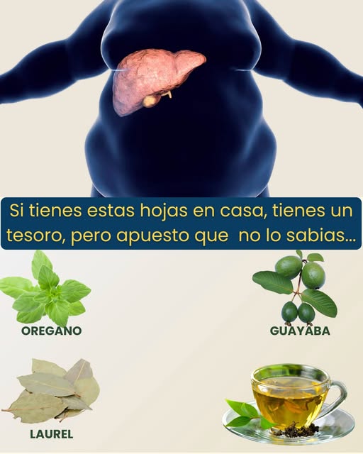 Hojas de orégano, guayaba y laurel
