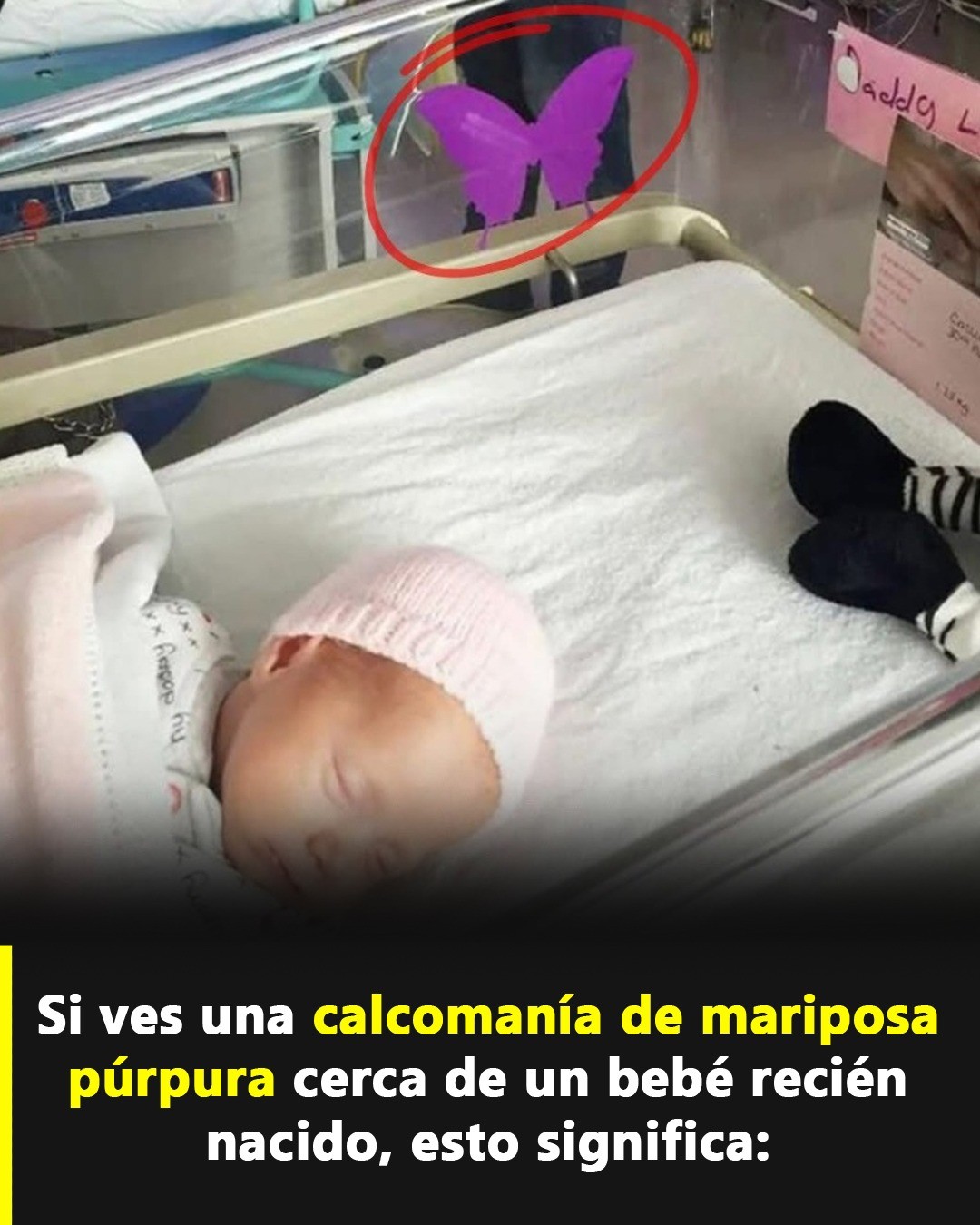 Mariposa Púrpura en el Hospital
