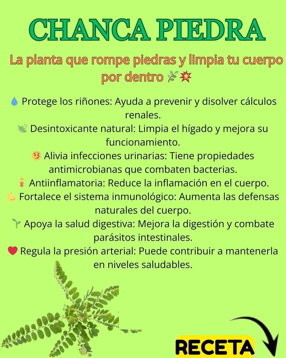 Hoja de Chanca Piedra