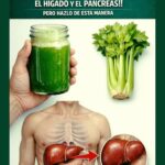 Los Increíbles Beneficios del Apio: Limpieza Natural para Tu Cuerpo